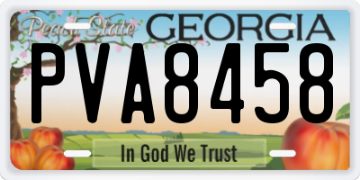 GA license plate PVA8458