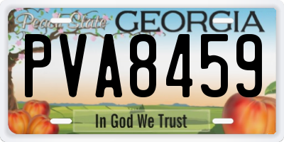 GA license plate PVA8459