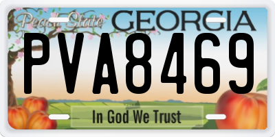 GA license plate PVA8469
