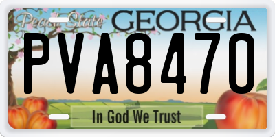 GA license plate PVA8470