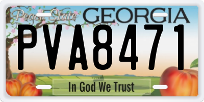 GA license plate PVA8471