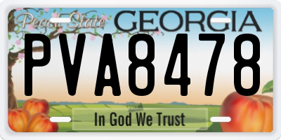 GA license plate PVA8478