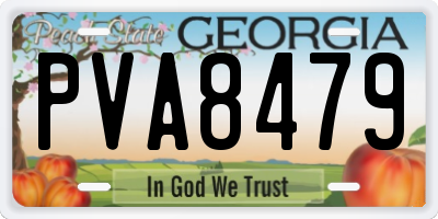 GA license plate PVA8479