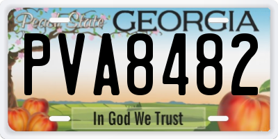 GA license plate PVA8482