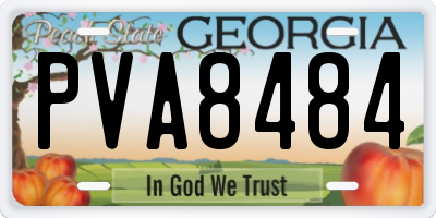 GA license plate PVA8484