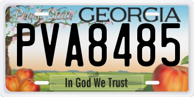 GA license plate PVA8485