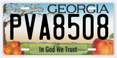 GA license plate PVA8508