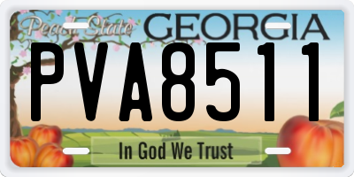 GA license plate PVA8511