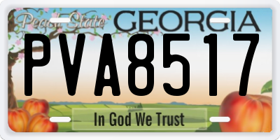 GA license plate PVA8517