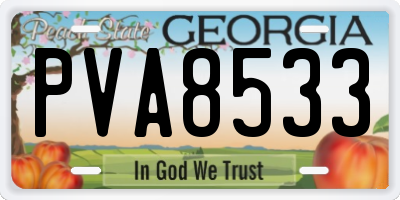 GA license plate PVA8533