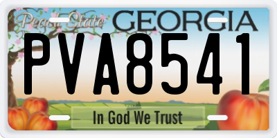 GA license plate PVA8541