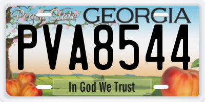 GA license plate PVA8544