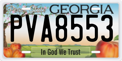 GA license plate PVA8553