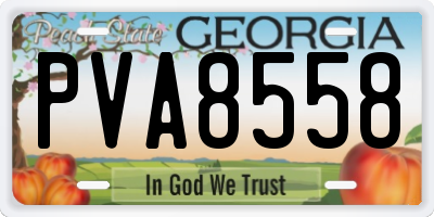 GA license plate PVA8558
