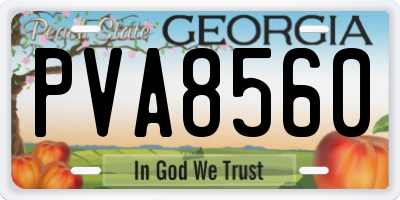 GA license plate PVA8560