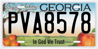GA license plate PVA8578