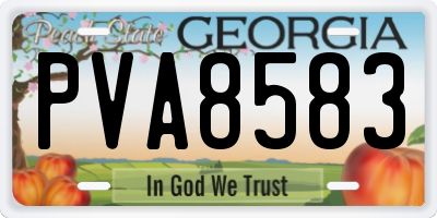 GA license plate PVA8583