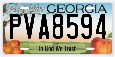 GA license plate PVA8594
