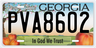 GA license plate PVA8602