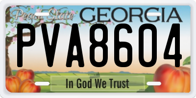 GA license plate PVA8604