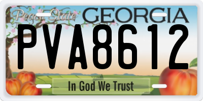 GA license plate PVA8612