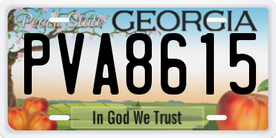 GA license plate PVA8615