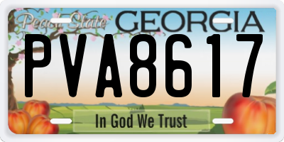 GA license plate PVA8617