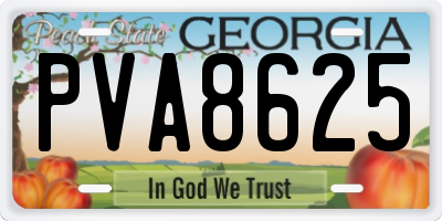 GA license plate PVA8625