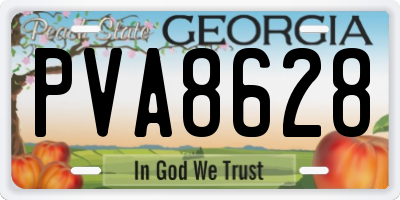 GA license plate PVA8628