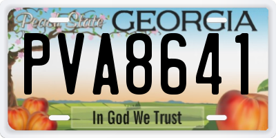 GA license plate PVA8641