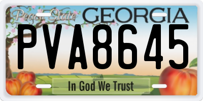 GA license plate PVA8645