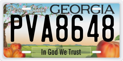 GA license plate PVA8648