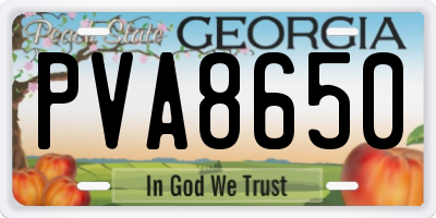 GA license plate PVA8650