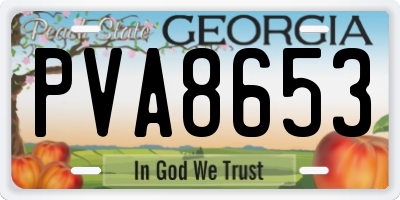GA license plate PVA8653