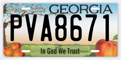 GA license plate PVA8671