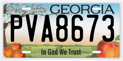 GA license plate PVA8673