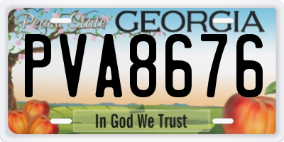 GA license plate PVA8676