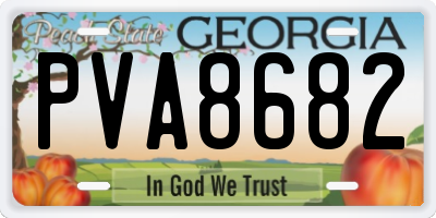 GA license plate PVA8682