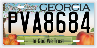 GA license plate PVA8684