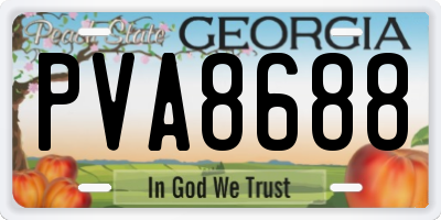GA license plate PVA8688