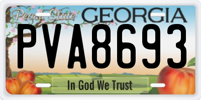 GA license plate PVA8693