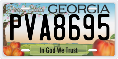 GA license plate PVA8695