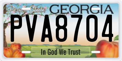 GA license plate PVA8704