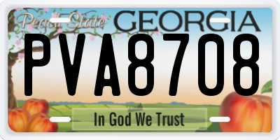 GA license plate PVA8708