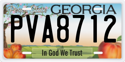 GA license plate PVA8712