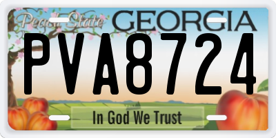 GA license plate PVA8724