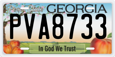 GA license plate PVA8733
