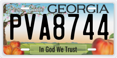 GA license plate PVA8744