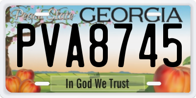 GA license plate PVA8745