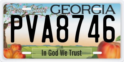 GA license plate PVA8746